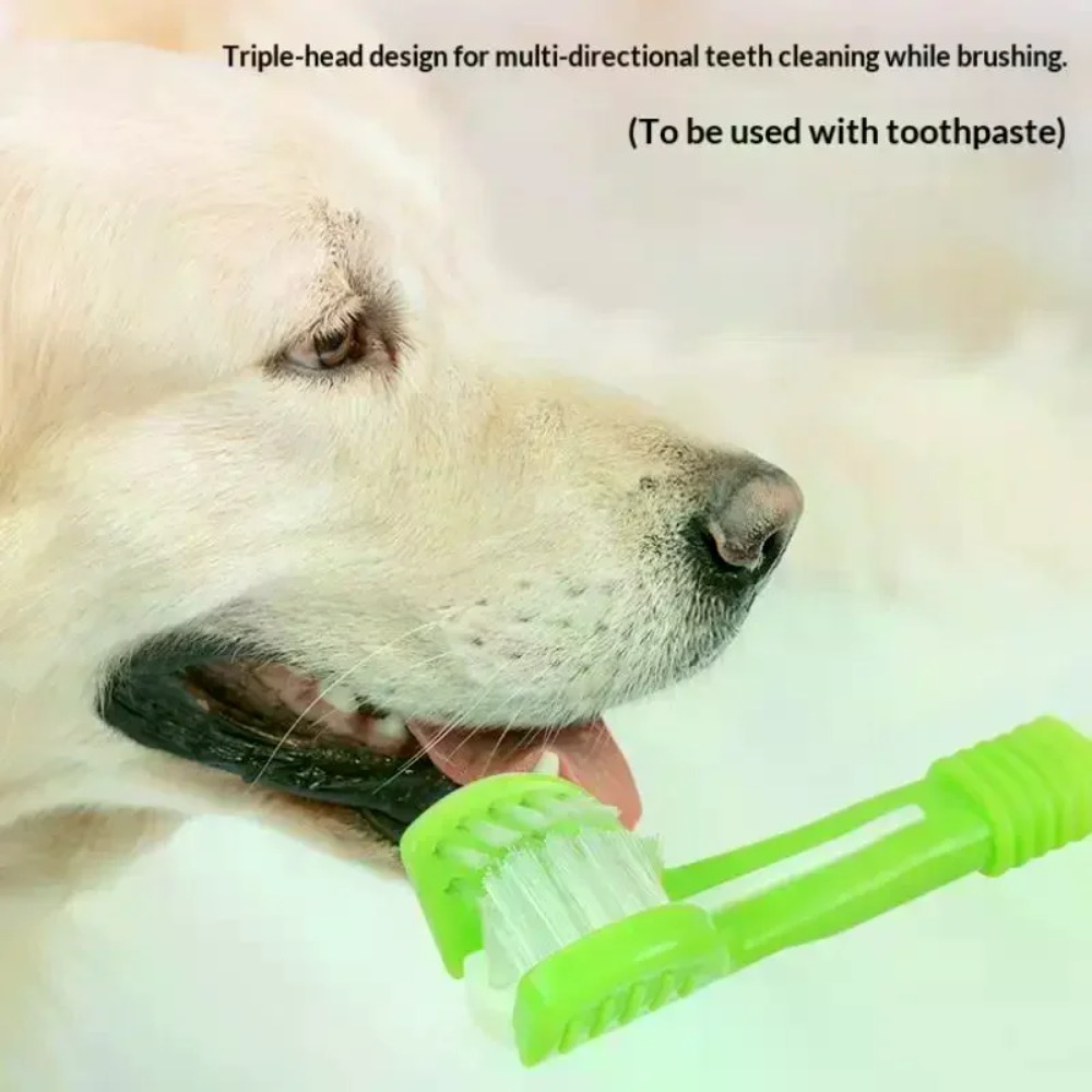 Spazzolino a 3 Lati per Animal - Teeth Whitening Mouthwash recensione e prezzo