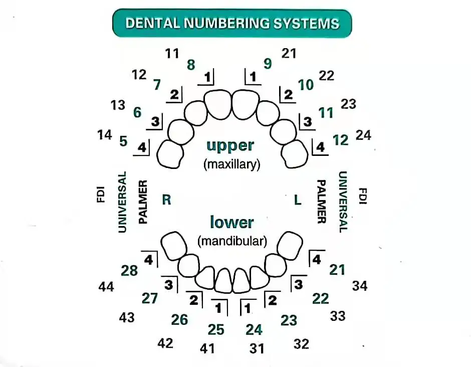 Stampo dentale per impiallacci - Teeth Whitening Moulds recensione e prezzo