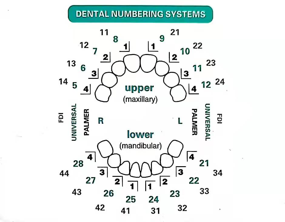 32 pz/set Kit di Stampi per Im - Teeth Whitening Moulds recensione e prezzo